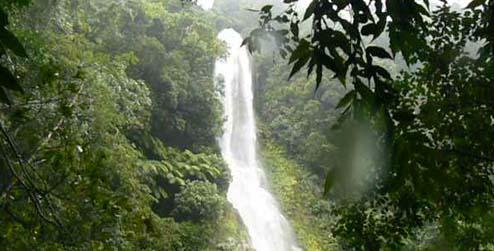 Vine Falls, Honduras.